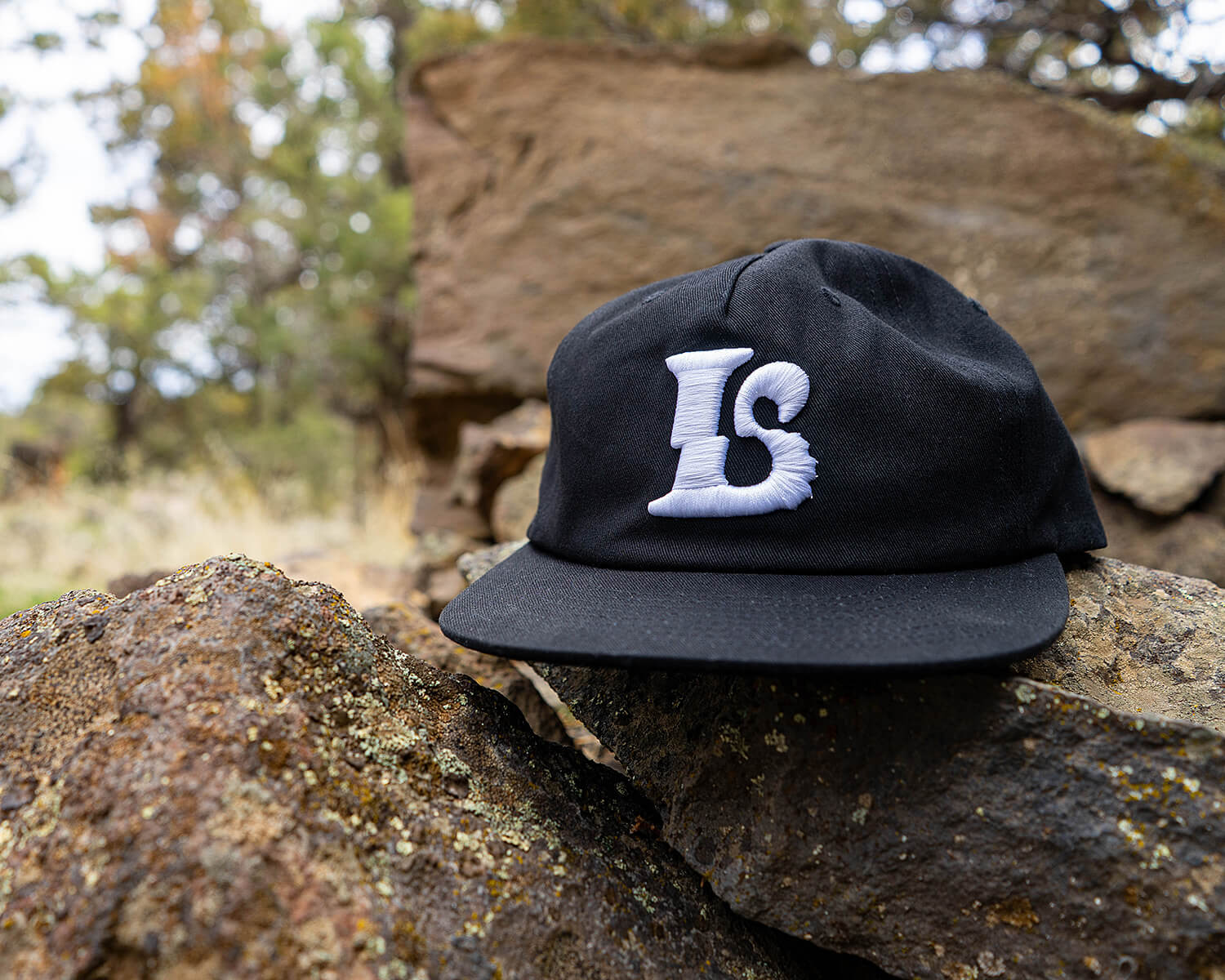 lev-cap